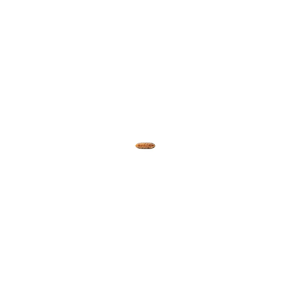 Mac 208S Angeled Brow - Image 2