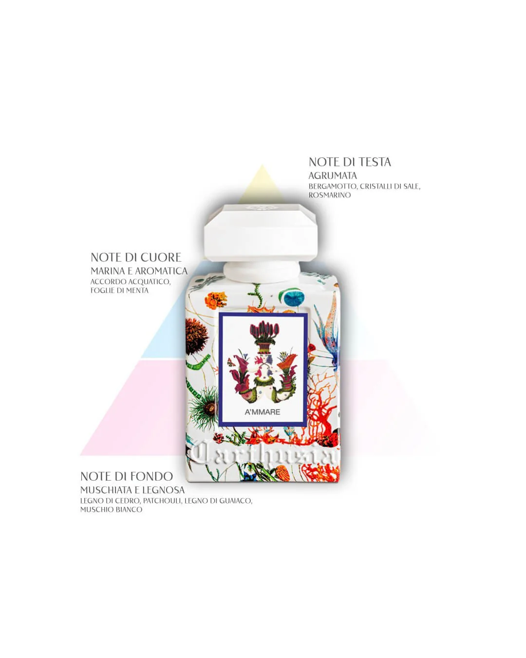 Carthusia A'mmare 200 ml - Image 3