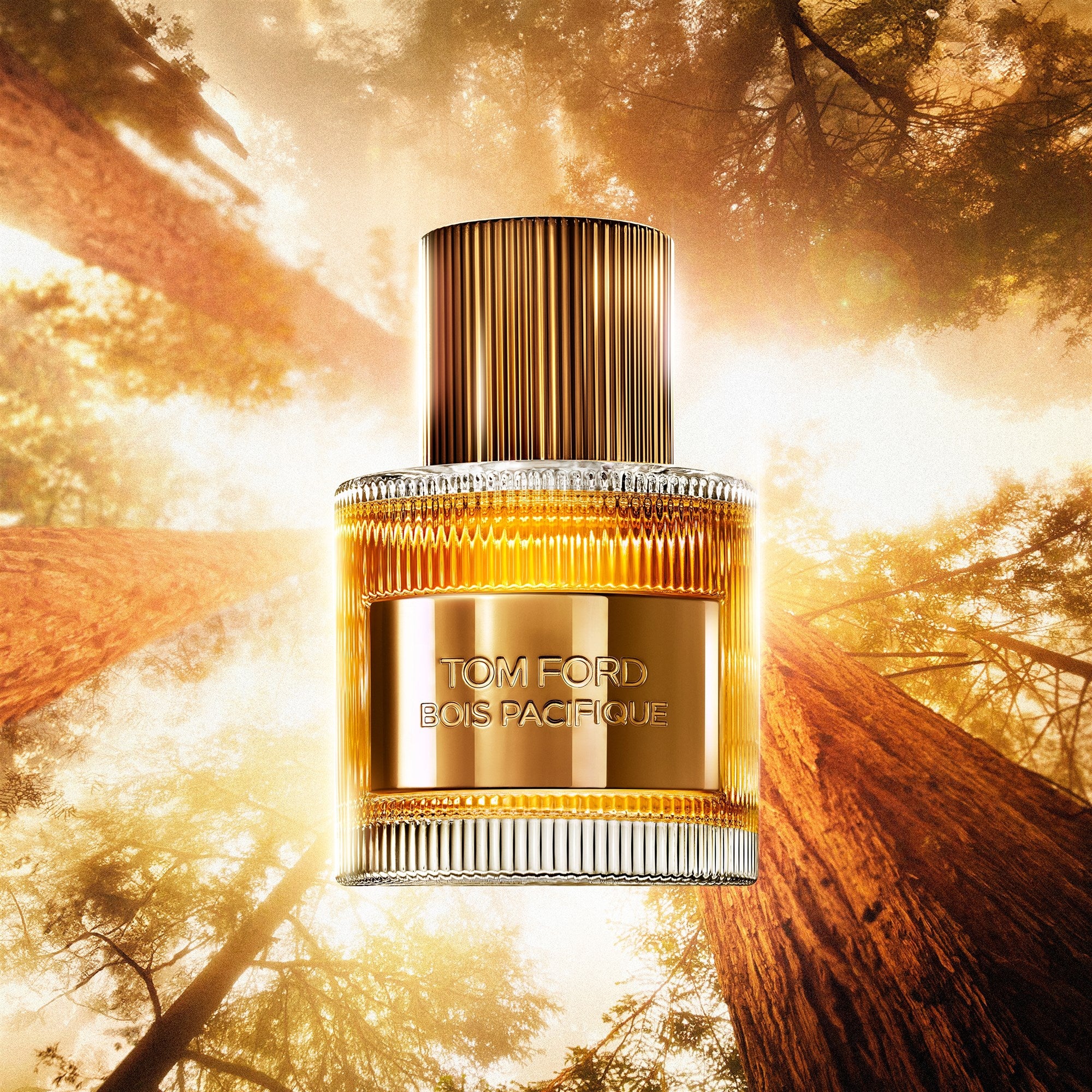 Tom Ford Bois Pacifique 50 ml - Image 2