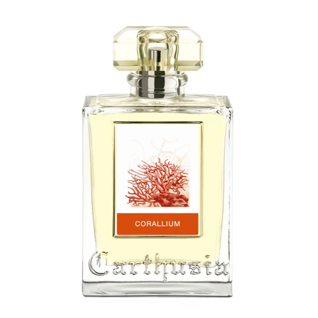 Carthusia Corallium 100 ml