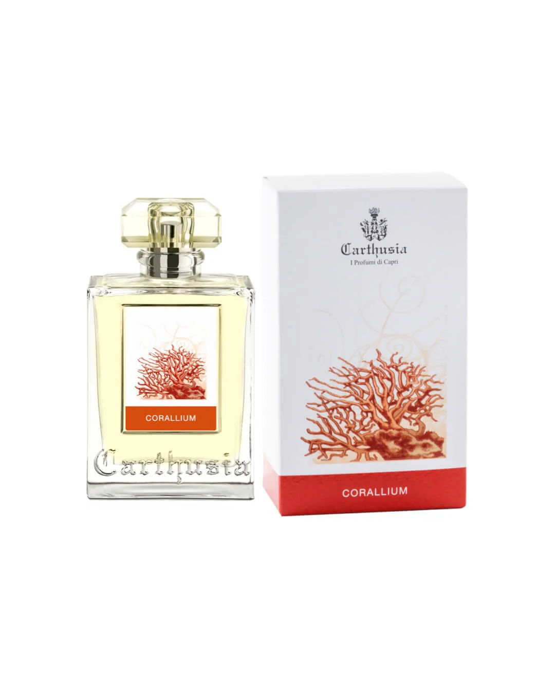 Carthusia Corallium 100 ml - Image 3