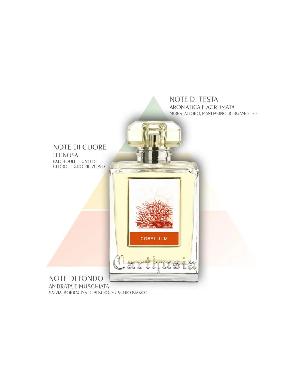 Carthusia Corallium 50 ml - Image 4