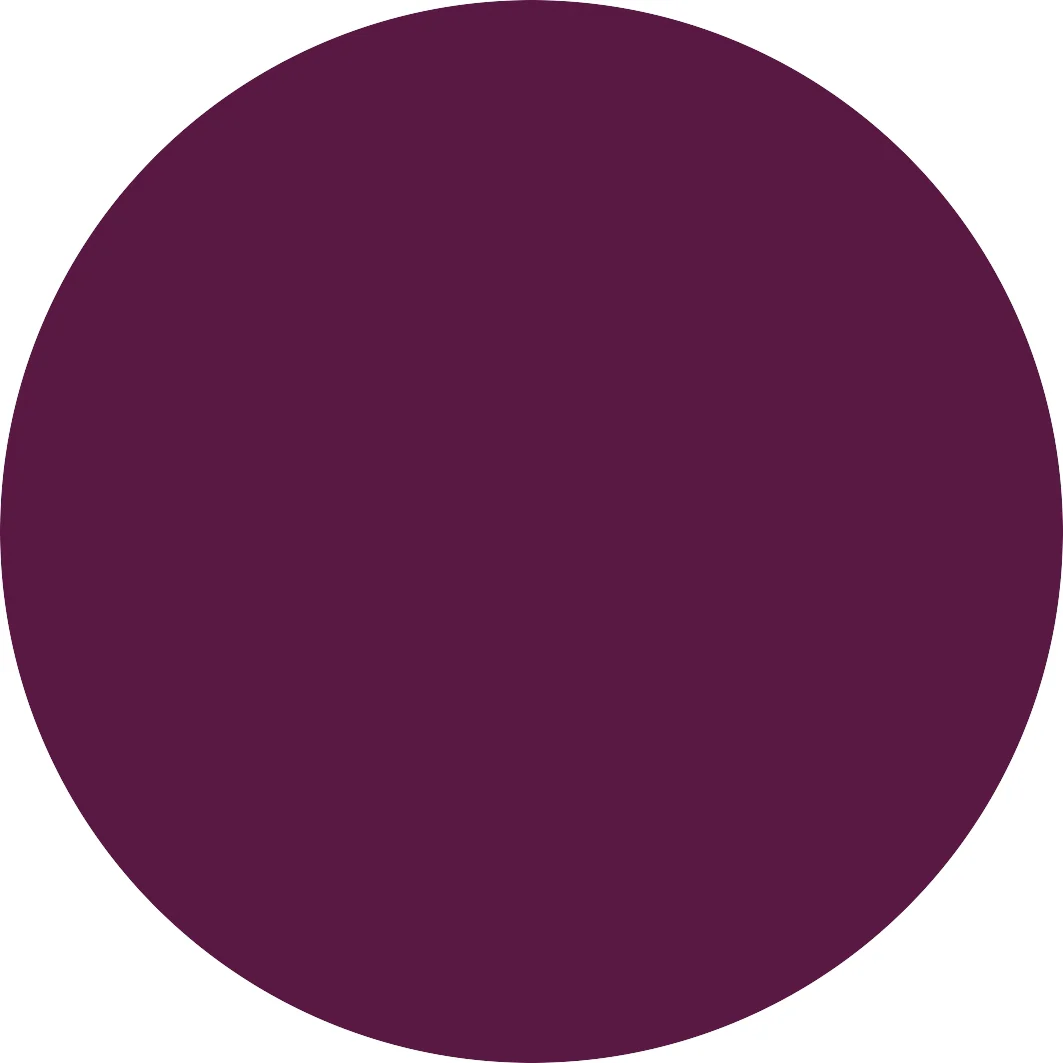 Catrice Gel Affair 023 Plum-Believable - Image 3