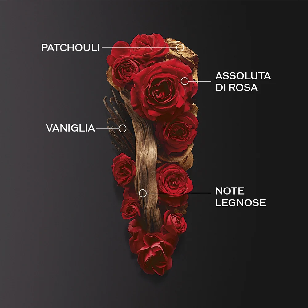 Shiseido Ginza Intense 50 ml - Image 4