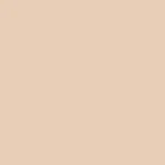 MULAC First Take Foundcealer N1 Pearl - Image 2