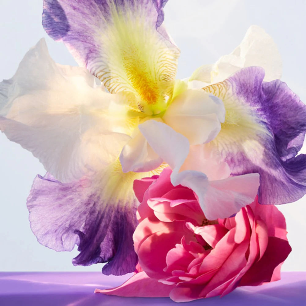Bulgari Omnia Amethyste 30 ml - Image 3
