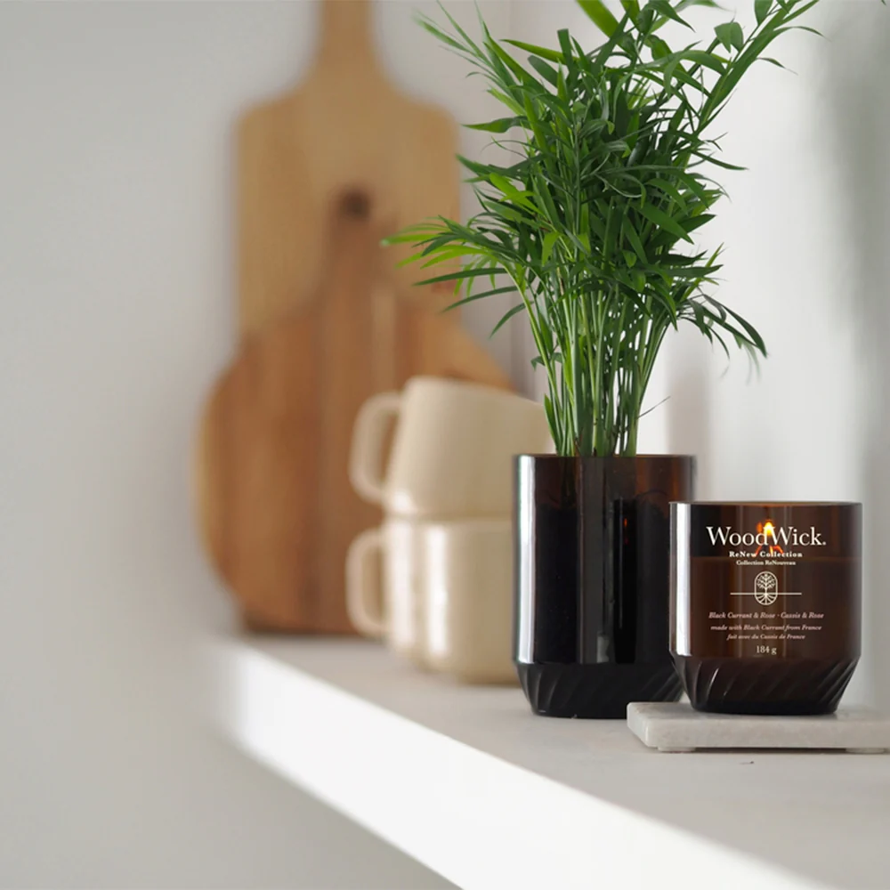 Woodwick ReNew Black Currant & Rose Media  Black Currant & Rose - Image 5