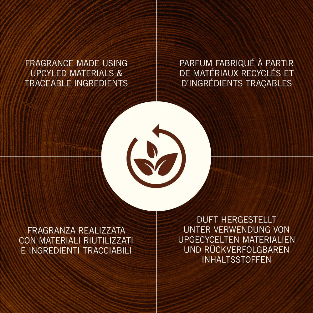 Woodwick ReNew Ginger & Tumeric Grande Ginger & Tumeric - Image 3
