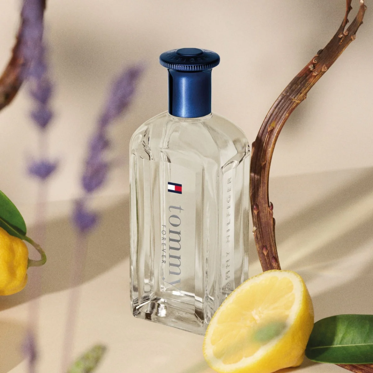 Tommy Hilfiger Tommy Forever 100 ml - Image 2