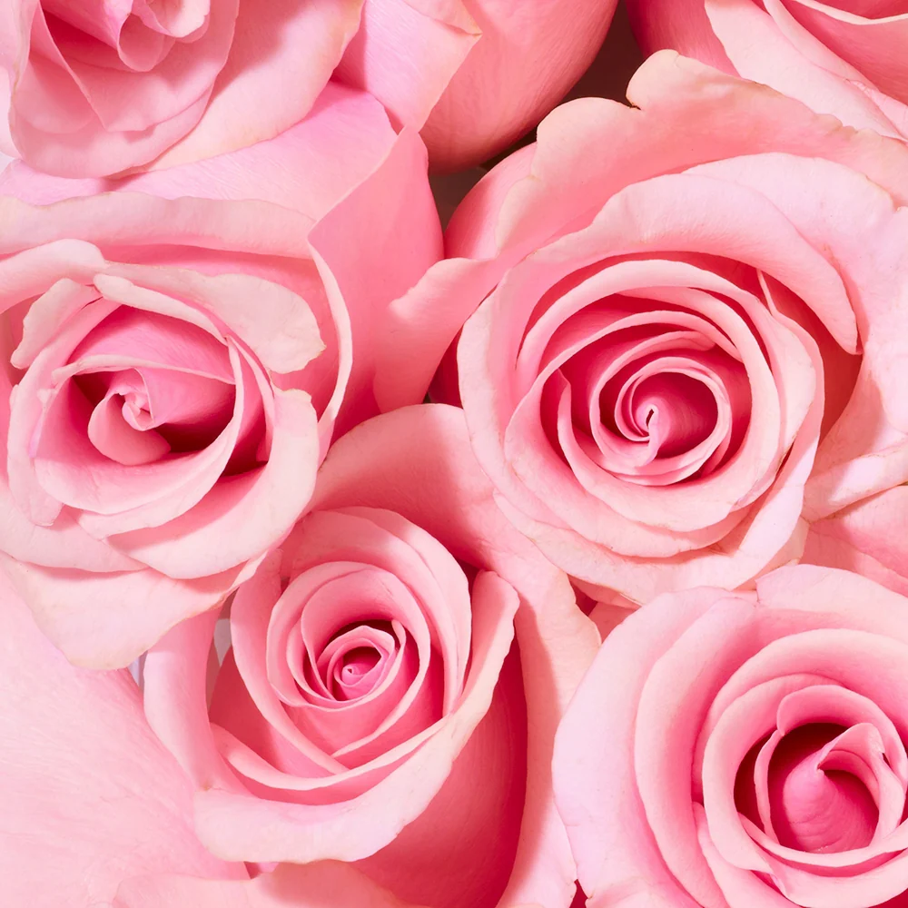 Nuxe Very Rose Gelée de Douche Apaisante 750 ml - Image 4