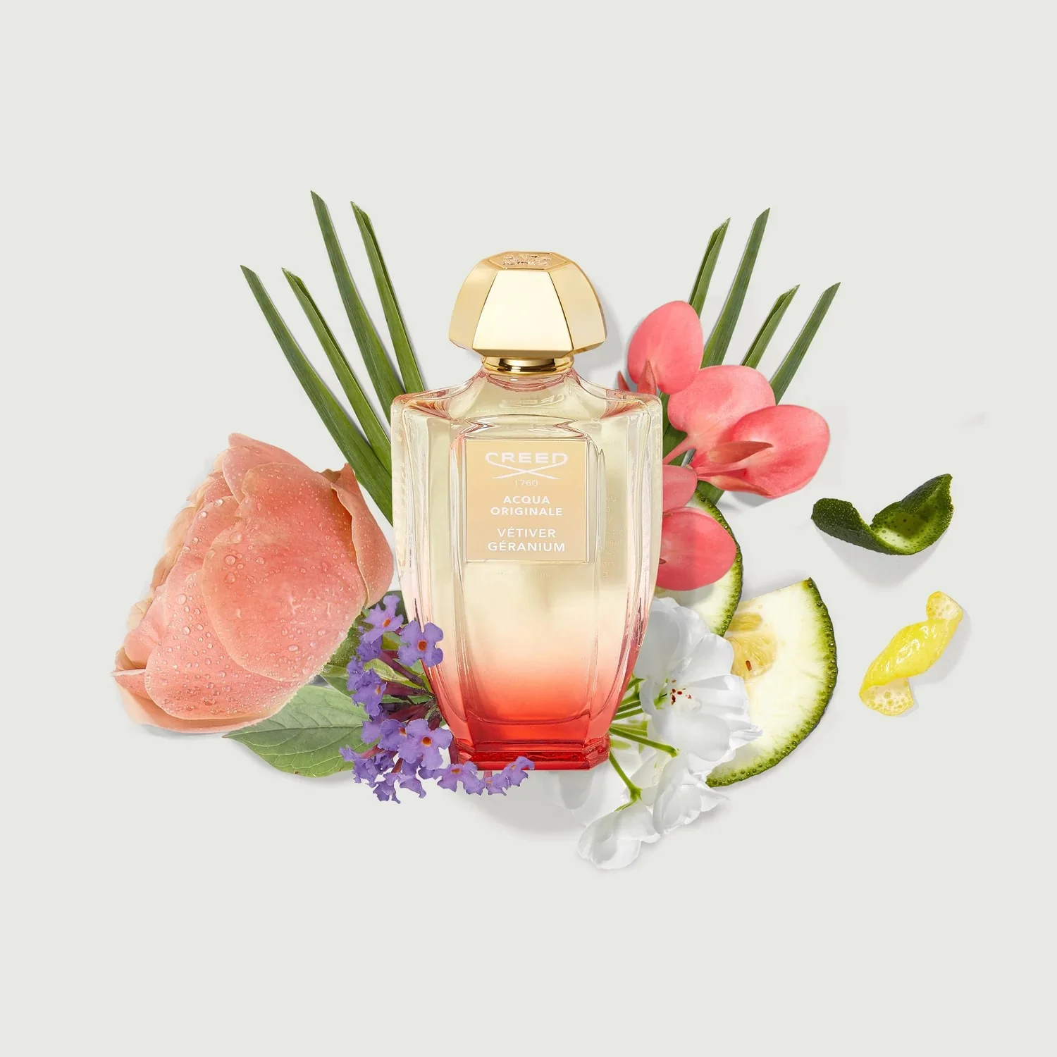 Creed Vétiver Gèranium Acqua Origiale 100 ml - Image 4